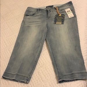 Brand New Democracy Denim Skimmers
